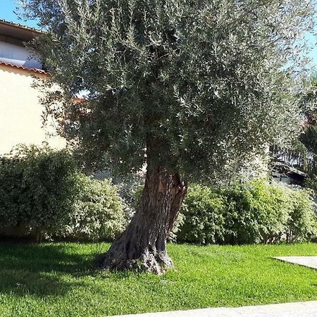 Altomare Hotel Augusta Esterno foto